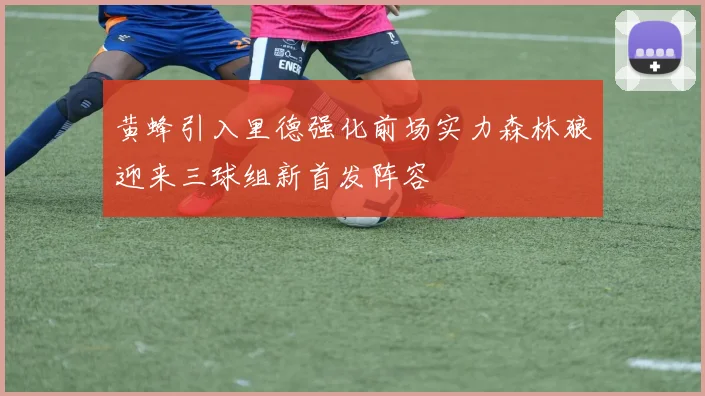 黄蜂引入里德强化前场实力森林狼迎来三球组新首发阵容