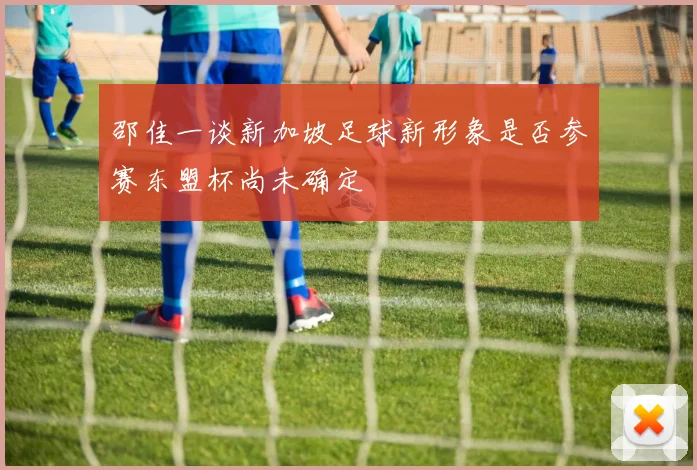 邵佳一谈新加坡足球新形象是否参赛东盟杯尚未确定
