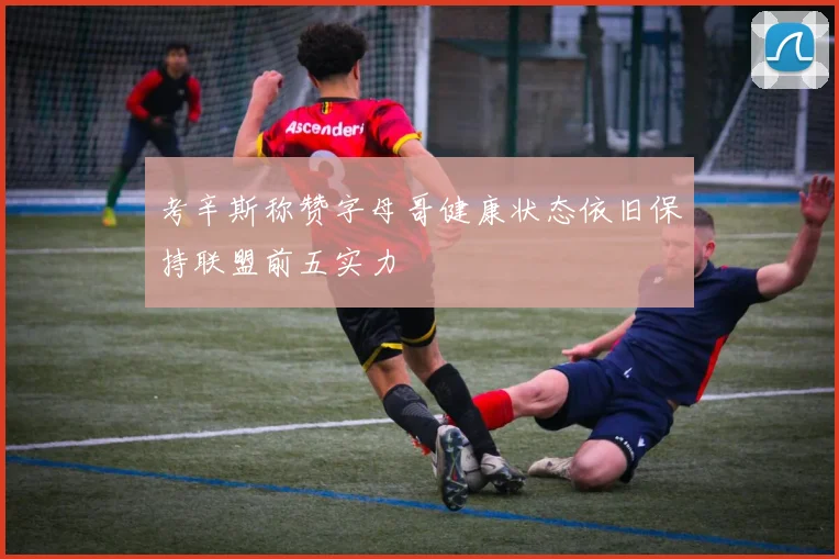 考辛斯称赞字母哥健康状态依旧保持联盟前五实力